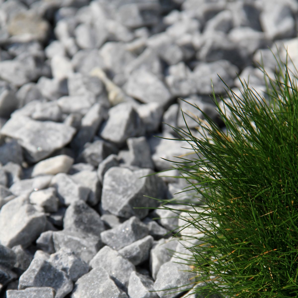 ICE BLUE 08/16 SPLITT - 25 KG *