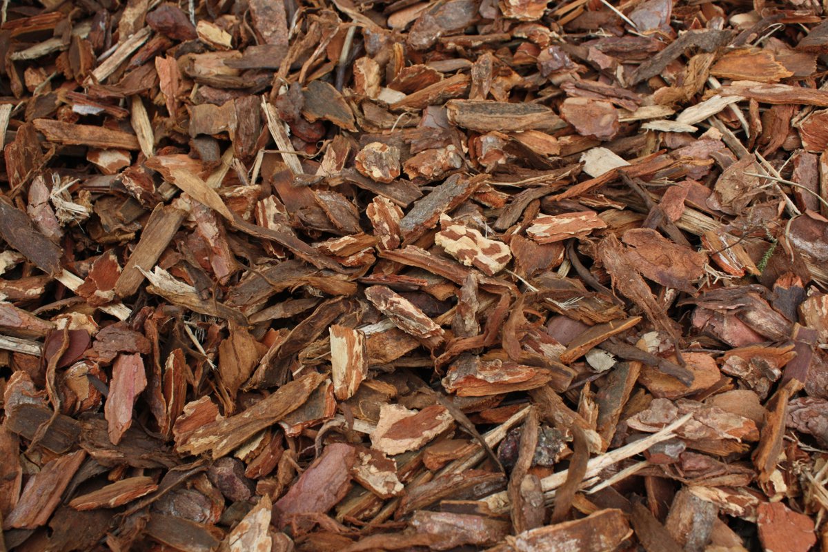 MULCH KIEFER SYLVESTRE RAL 20-40 - 60 L