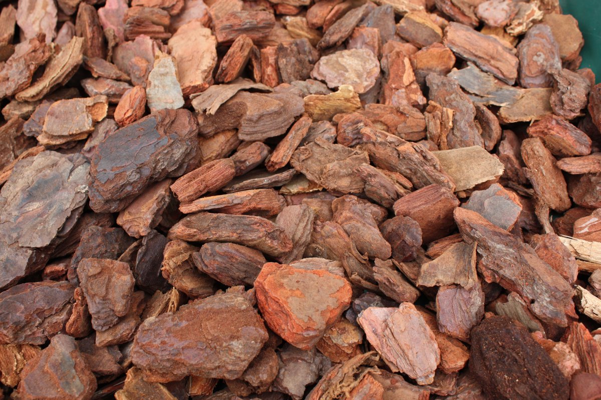 MULCH KIEFER MARITIM RAL 20-40 - 60 L