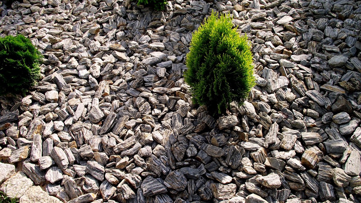 SELDA WOODSTONE 30/60 SPLITT - 20 KG