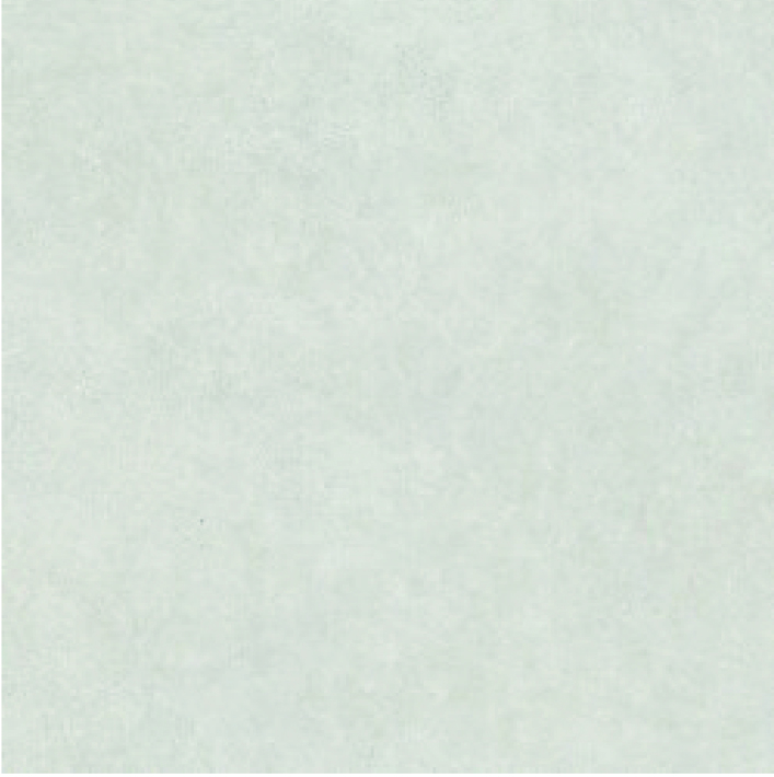 CERAM BORNEO WHITE MATE 120x120x0,9 CM