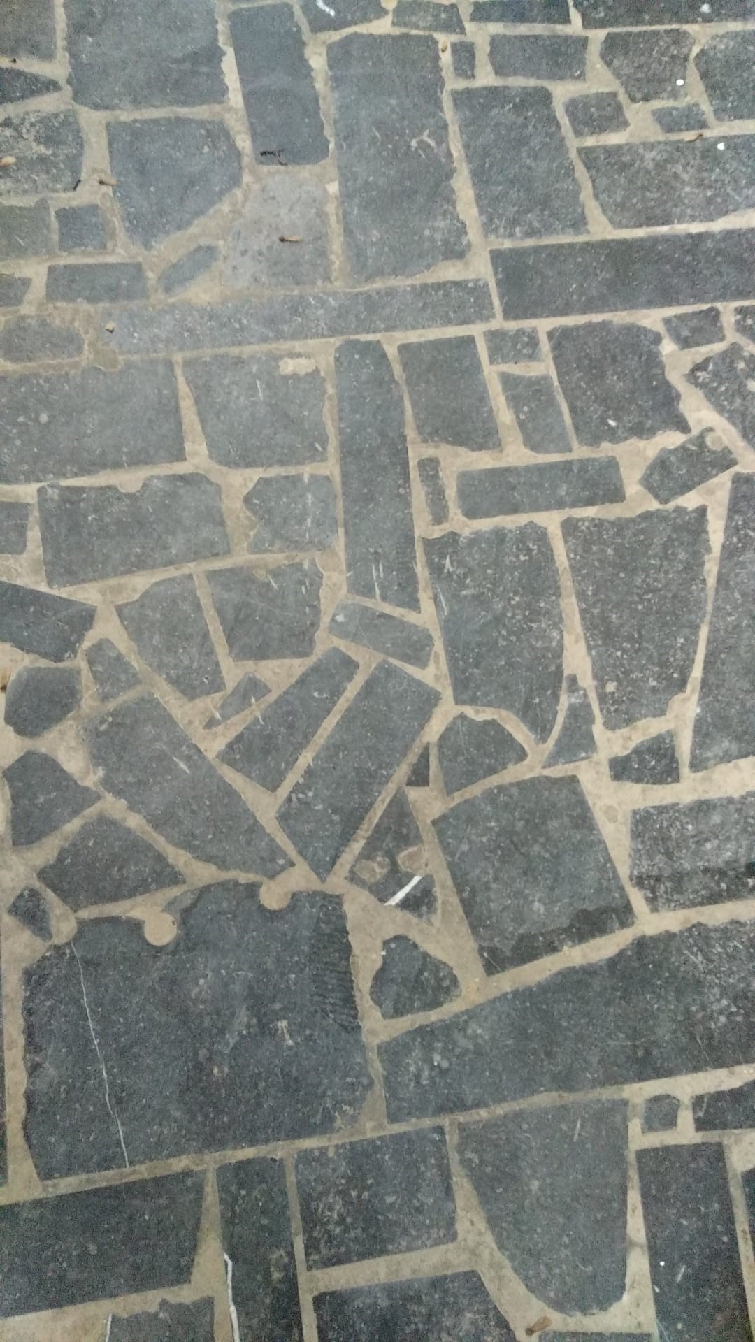 EMMA 22 POLY  2-3 CM